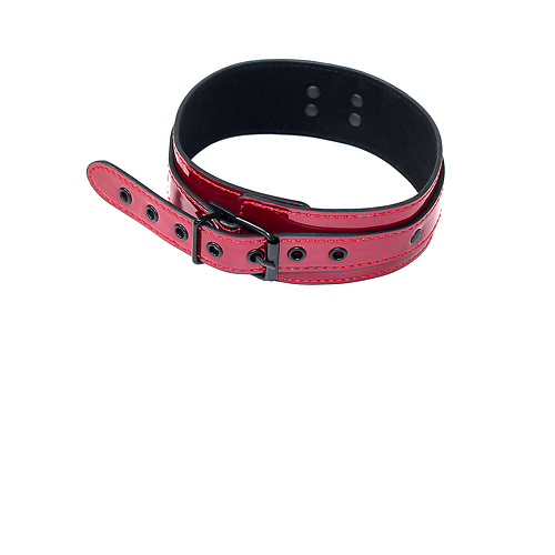 Ошейник Party Hard Eccentric Lola Toys 1092-01lola купить в секс-шопе Сочи